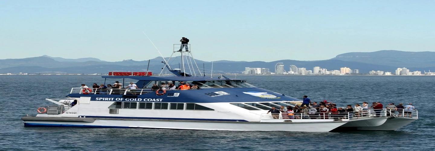 Spirit of Gold Coast Cruises cover photo