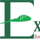 EXPOTECH - Construction Site/ Building Site Cleaning in New Mirpur City