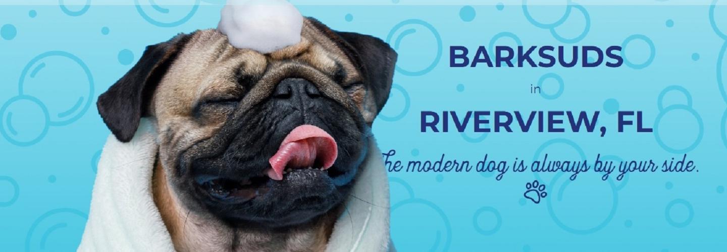  Riverview  Barksuds cover photo