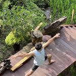 Sukha Yogashala - photo 5