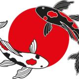 Just Koi - Specialist Koi Carp Peterborough - Local Fish Stores in Spalding