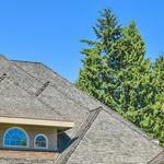 Home Roof Treatment & Restoration - photo 5
