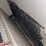 Disaster Master - photo 3