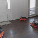 Disaster Master - photo 5