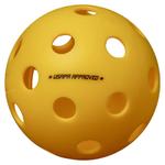 Pickle Ball NVZ - photo 1