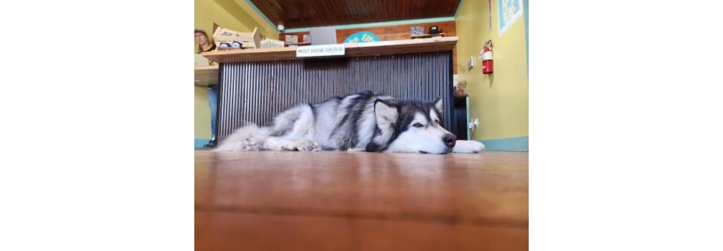 Lake Effect Vermont Cannabis Dispensary cover photo