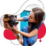 CARINGBAH VET HOSPITAL - photo 1