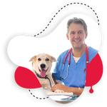 CARINGBAH VET HOSPITAL - photo 4