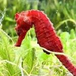 De Feng Biotechnology Co., Ltd - photo 3