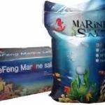 De Feng Biotechnology Co., Ltd - photo 4