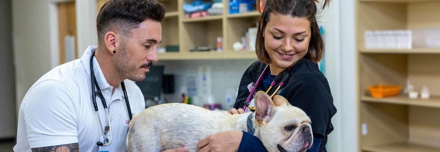 Urgent Vet cover photo