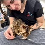 Urgent Vet - photo 1