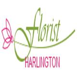Florist Harlington - Flowers & Gifts in Hayes