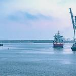 Insignia Shipping Services - photo 3