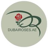 Dubairoses - Business Financial Consultants in Dubai