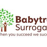 Babytree Surrogacy - Health & Medical in Victorville