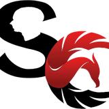 Scalp Carolinas LLC - Hair Loss Centers in Charlotte