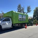 Alex Tree Service - photo 2