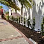 Alex Tree Service - photo 10