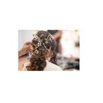 Rove Salon - photo 1
