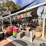 Hawaiian's Bassendean - photo 8