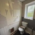 All American post building & Contracting - photo 1