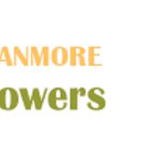 Flowers Stanmore - Flowers & Gifts in Stanmore