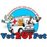 Vet2UrPet - Veterinarians/Vets in Kirwan