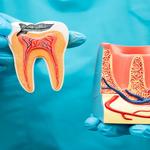 SmileCare Dental of Fitchburg - photo 1