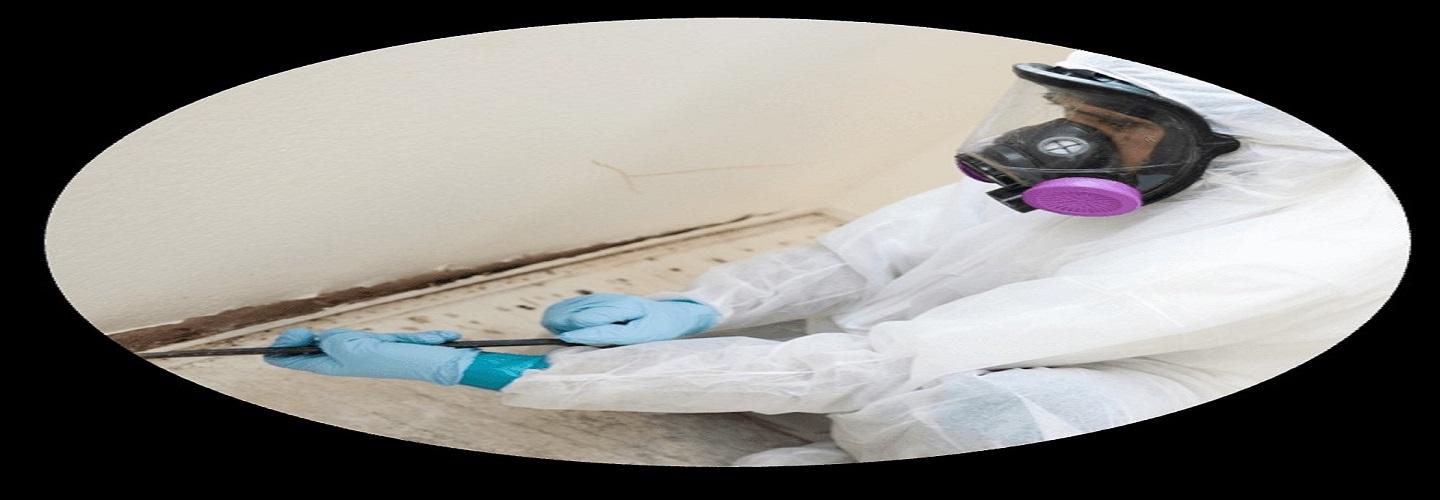 Mold Outs cover photo