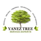 Yanez Tree Service Experts - Tree Services in Rockville
