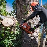Haines City Tree Care - Tree Services in Haines City