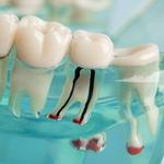 Willow Street Dental - photo 3
