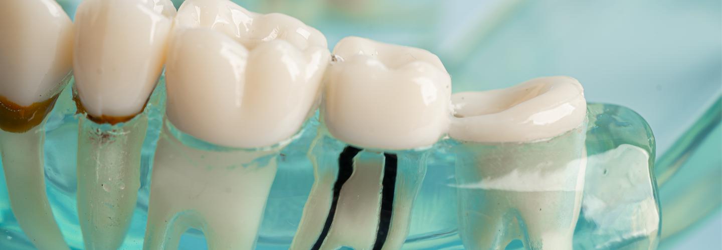 Willow Street Dental cover photo