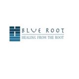 Blue Root Health