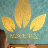 Mscents Singapore - Professional Services in Singapore