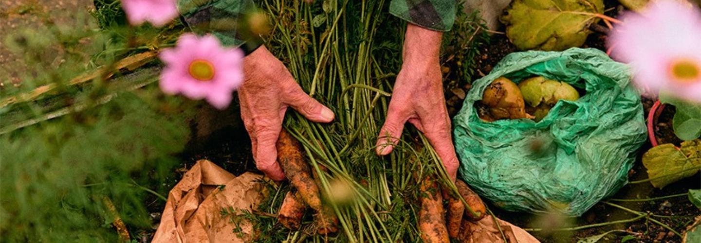 BioBag World cover photo