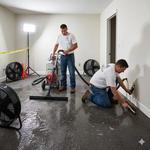 ANV Property Services - photo 1