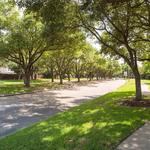 Advanced Tree & Shrub Care, Inc. - photo 1