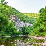 Psychology & Counseling Associates - photo 5