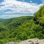 Psychology & Counseling Associates - photo 8