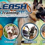 Off Leash K9 of Northern Virginia - photo 2