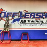 Off Leash K9 of Northern Virginia - photo 3