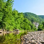 Psychology & Counseling Associates - photo 3