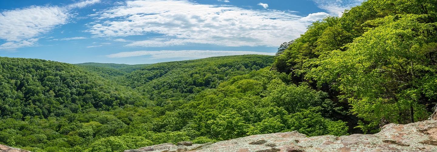 Psychology & Counseling Associates cover photo