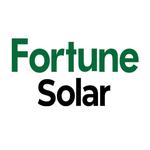 Fortune - photo 1