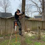 Good Neighbor Tree Service - photo 4