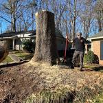 Good Neighbor Tree Service - photo 5