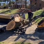 Good Neighbor Tree Service - photo 6