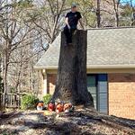 Good Neighbor Tree Service - photo 7
